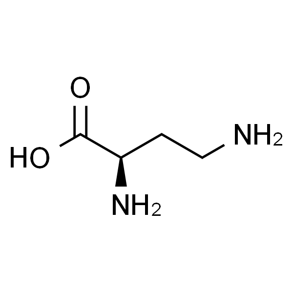 D-2，4-二氨基丁酸盐酸盐