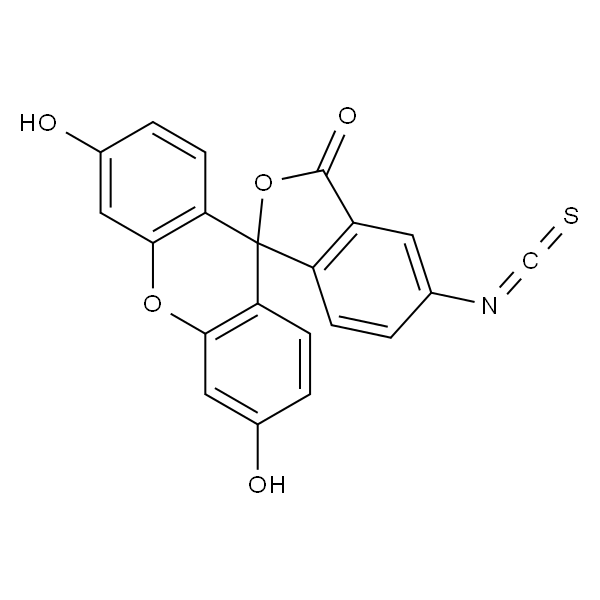 异硫氰酸荧光素 (5-,6-异构体混合物)