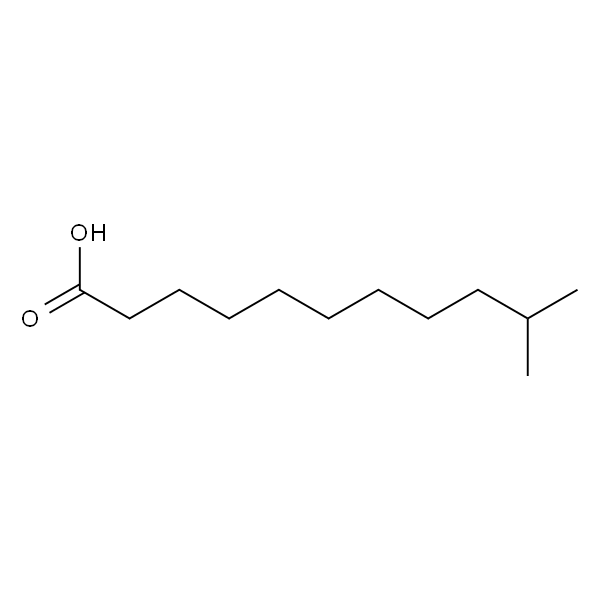 10-Methylundecanoic acid