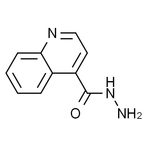 喹啉-4-甲酰肼