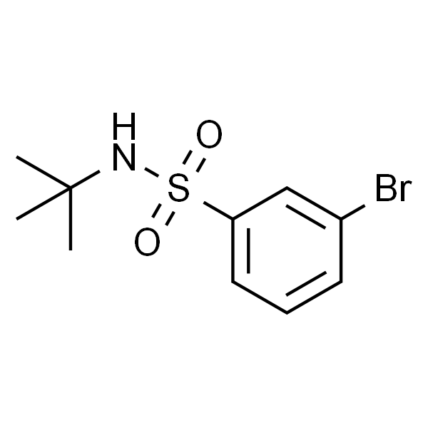 N-叔丁基-3-溴苯磺酰胺