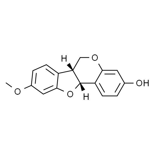 美迪紫檀素