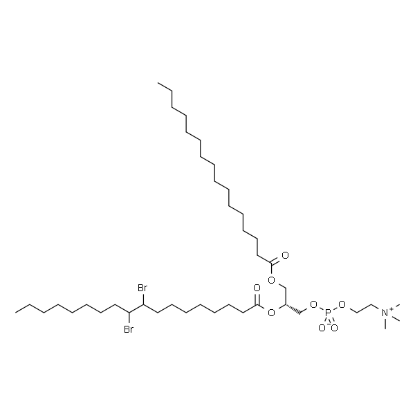 1-palmitoyl-2-(9,10-dibromo)stearoyl-sn-glycero-3-phosphocholine