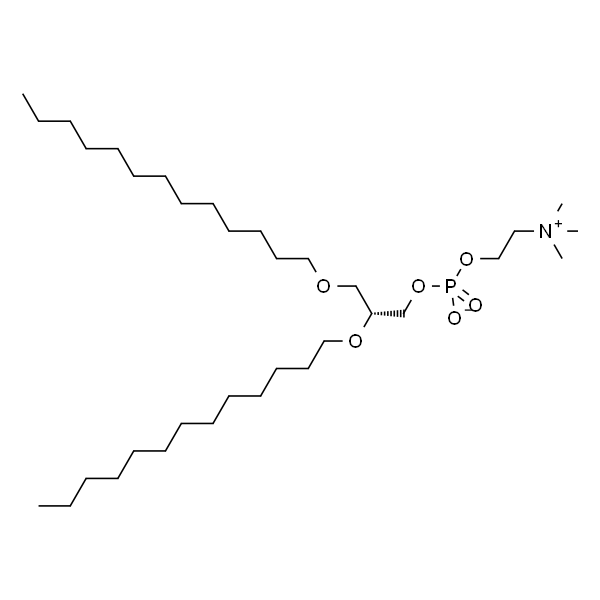 1,2-di-O-tridecyl-sn-glycero-3-phosphocholine