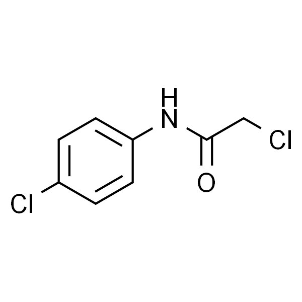 N-(4-氯苯基)-2-氯乙酰胺