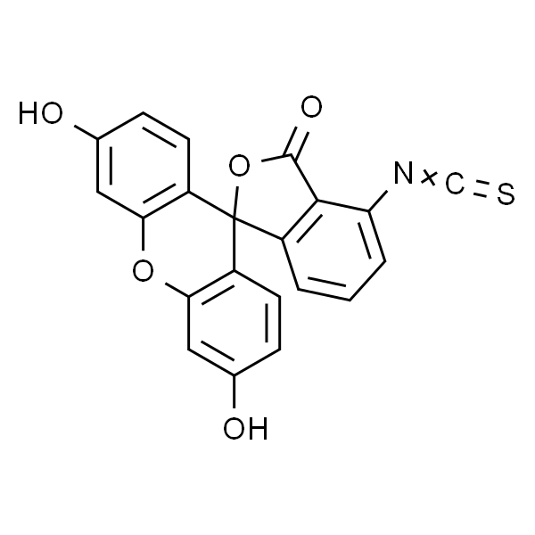 6-异硫氰酸荧光素