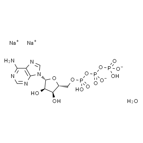 腺苷-5'-三磷酸二钠盐x水合物