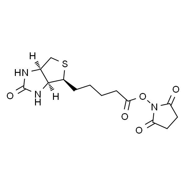 (+)生物素-N-琥珀酰亚胺基酯