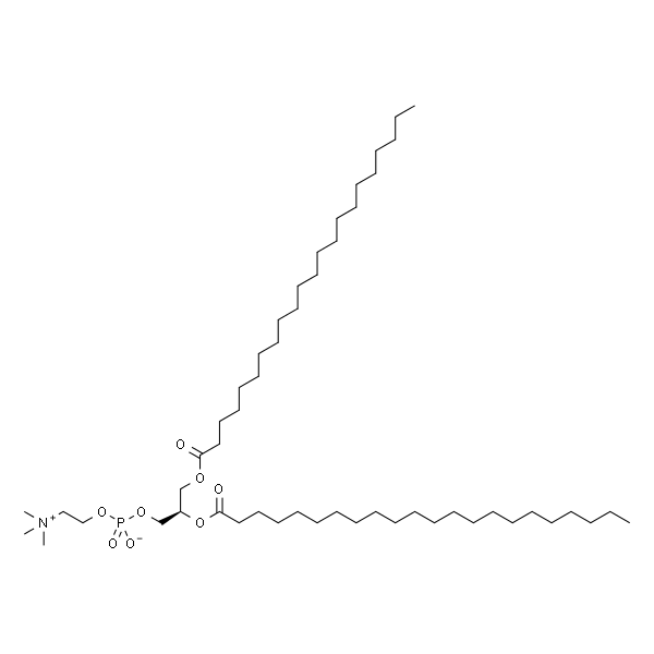 1,2-双二十二碳酰基-Sn-甘油-3-磷酰胆碱