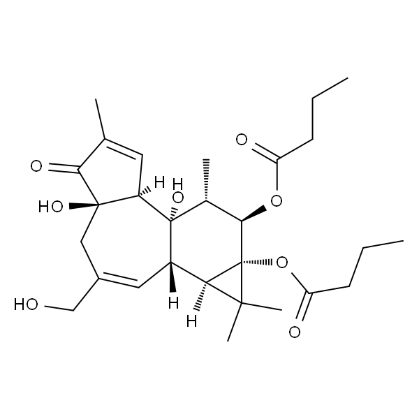 PHORBOL 12,13-DIBUTYRATE