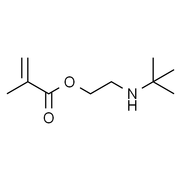 甲基丙烯酸2-(叔丁基氨基)乙酯