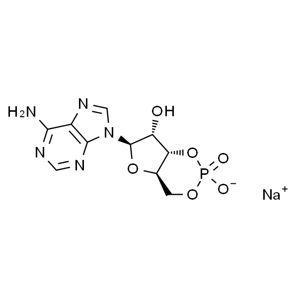 腺苷-3',5'-环状单磷酸钠 水合物