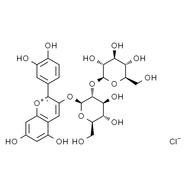 矢车菊-3-O-槐糖苷氯化物