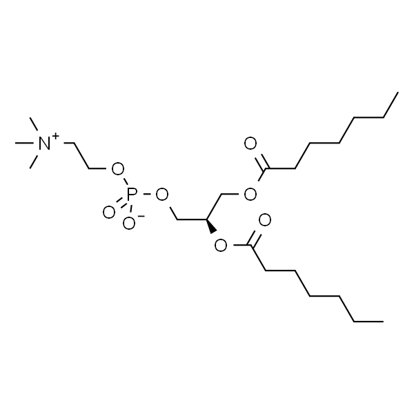 1,2-二庚酰-Sn-甘油-3-磷酰胆碱