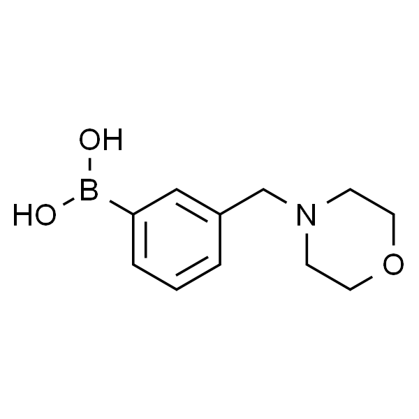 3-吗啉甲基苯硼酸