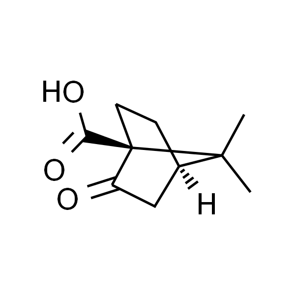 (S)-(+)-酮基蒎酸