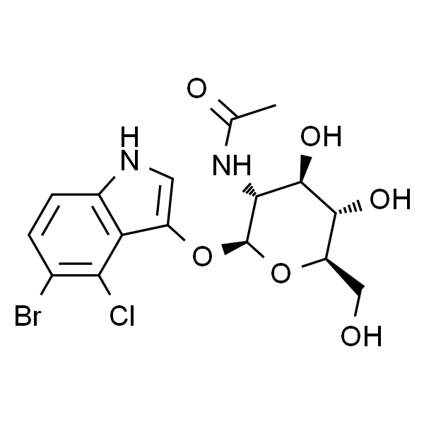 5-溴-4-氯-3-吲哚基-N-乙酰-β-D-氨基葡萄糖苷