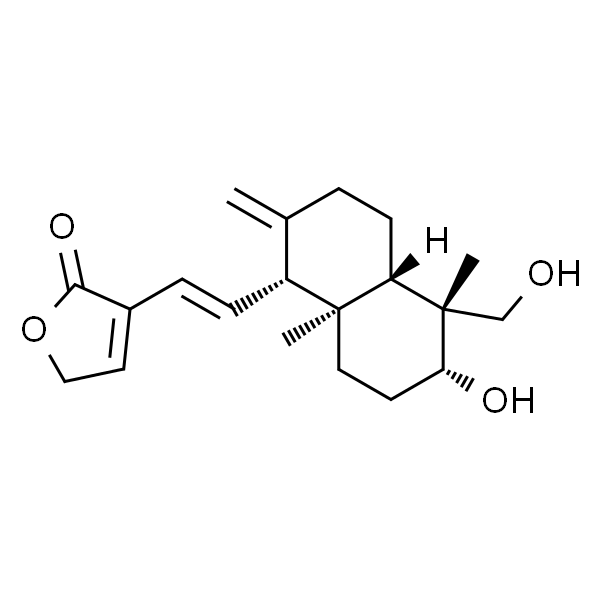14-去氧-11,12-二去氢穿心莲内酯