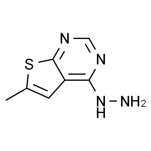 4-肼基-6-甲基噻吩并[2,3-d]嘧啶