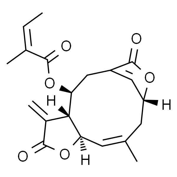 Isoscabertopin