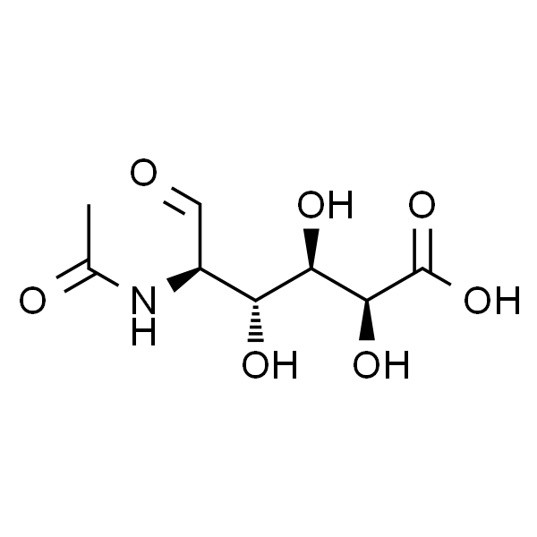 2-Acetamido-2-deoxy-D-galacturonic Acid