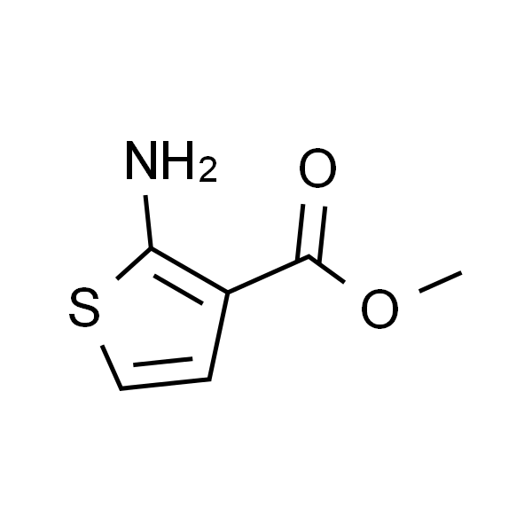 2-氨基噻吩-3-甲酸甲酯