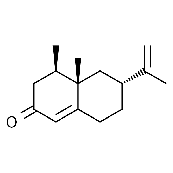 诺卡酮