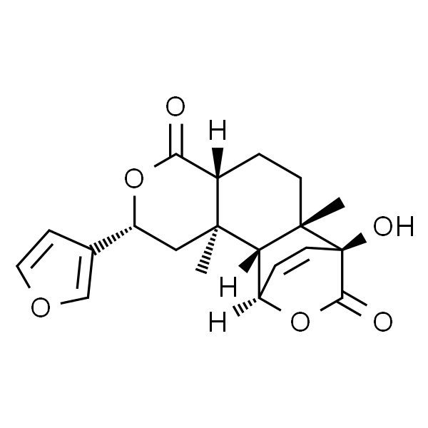 异古伦宾