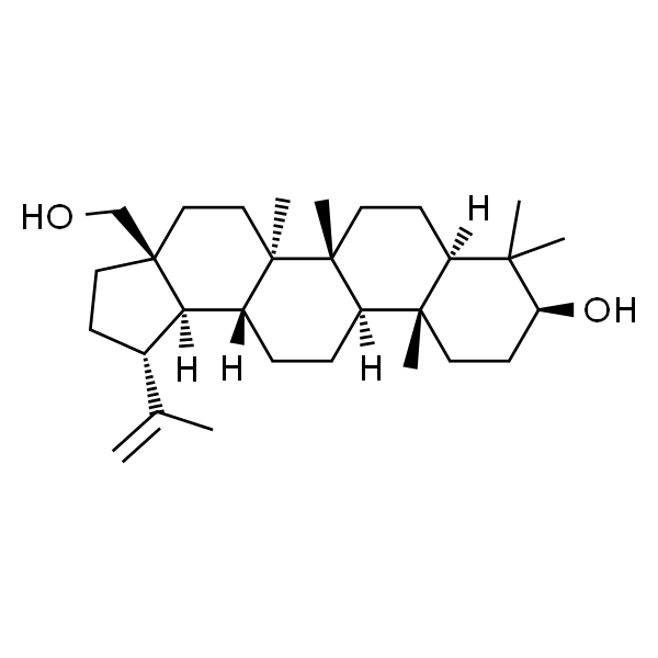 白桦脂醇