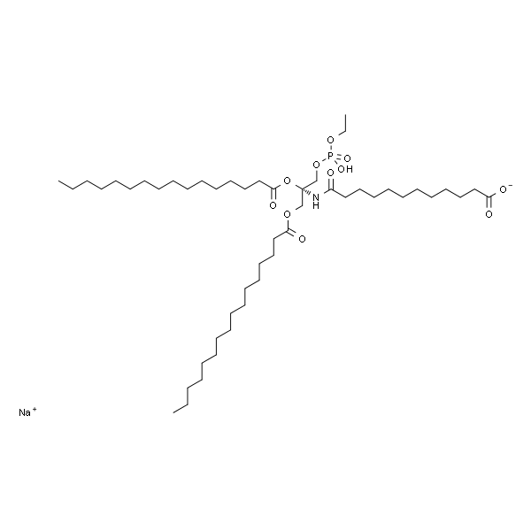 1,2-dipalmitoyl-sn-glycero-3-phosphoethanolamine-N-(dodecanoyl) (sodium salt)