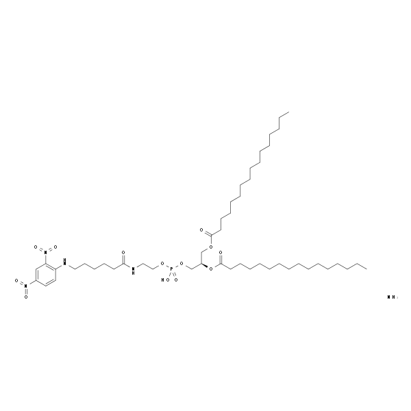 1,2-dipalmitoyl-sn-glycero-3-phosphoethanolamine-N-[6-[(2,4-dinitrophenyl)amino]hexanoyl] (ammonium salt)