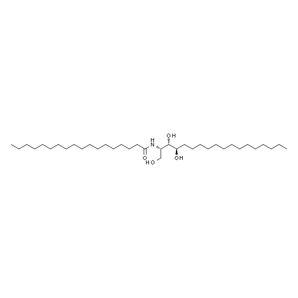 N-stearoyl 4-hydroxysphinganine (Saccharomyces Cerevisiae)