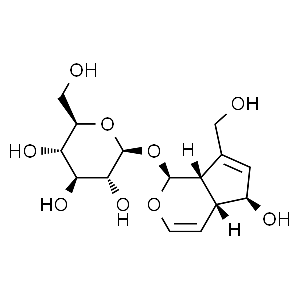 桃叶珊瑚苷