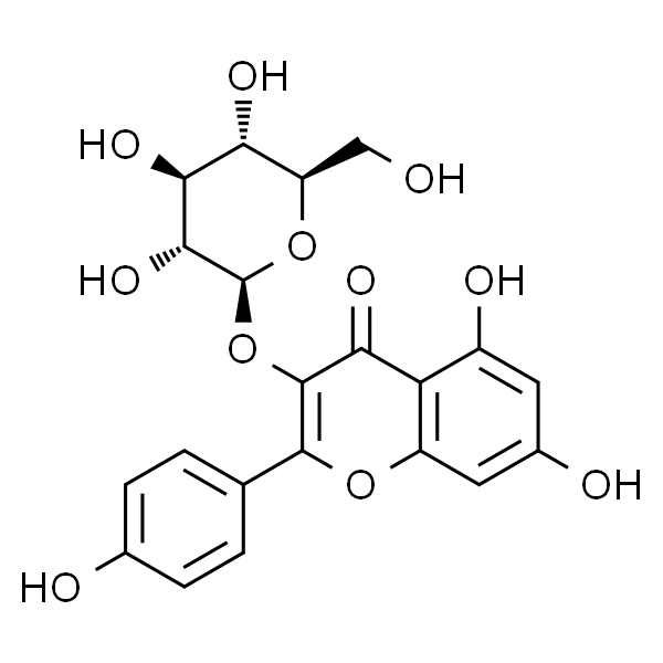 紫云英苷