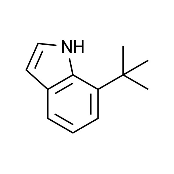7-(叔丁基)-1H-吲哚