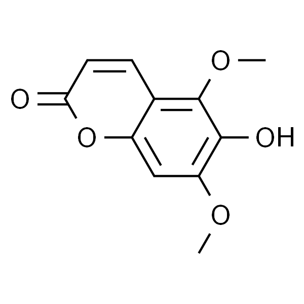 白蜡树精