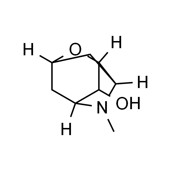 异东莨菪醇