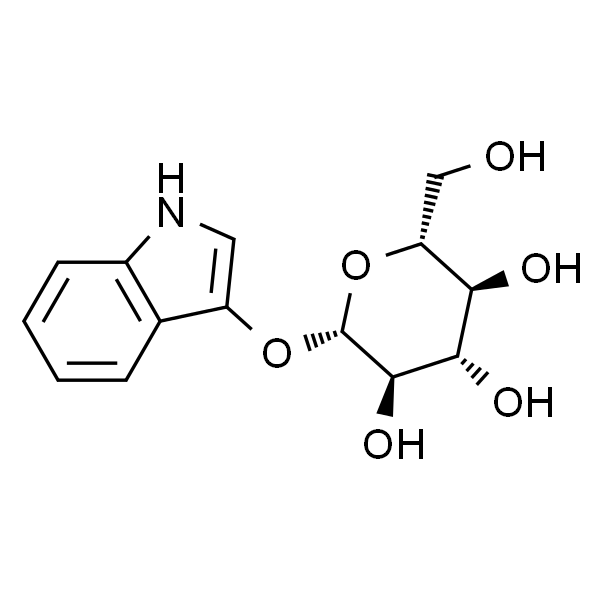 尿蓝母 (植物尿蓝母)