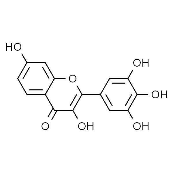 洋槐黄素