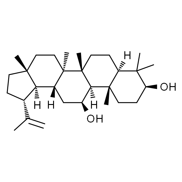 11β-羟基羽扇豆醇