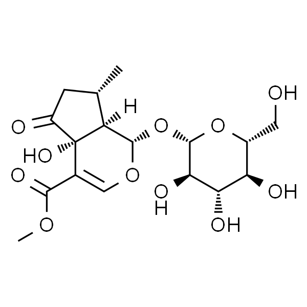 5-羟基马鞭草苷