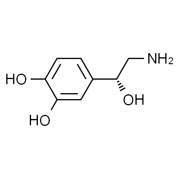 L-去甲肾上腺素