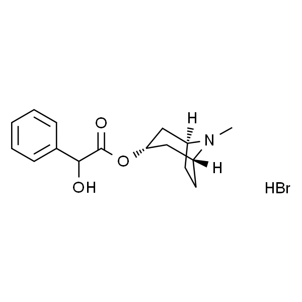 氢溴酸后马托品