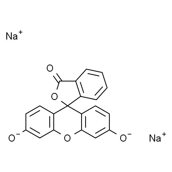 荧光素二钠 水合物