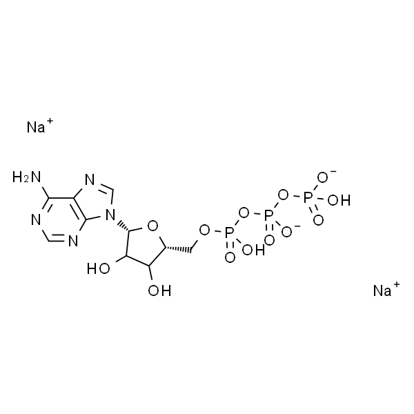 5′-三磷酸腺苷 二钠盐