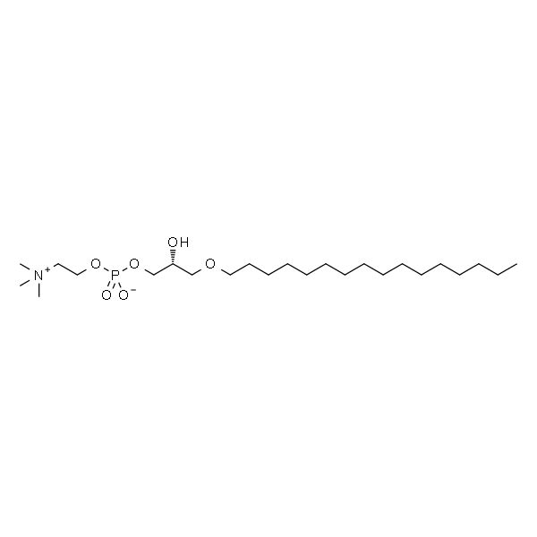 1-O-Palmityl-sn-glycero-3-phosphocholine 