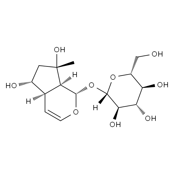 益母草苷