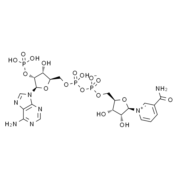 β-烟酰胺腺嘌呤二核苷酸磷酸(NADP)