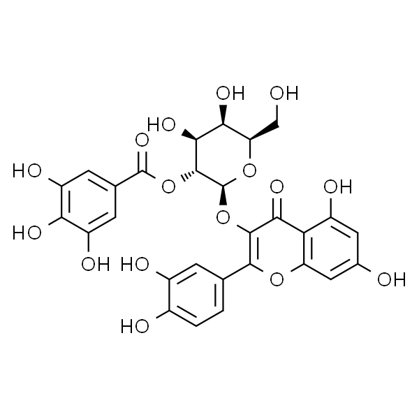 2”-O-没食子酰基金丝桃苷