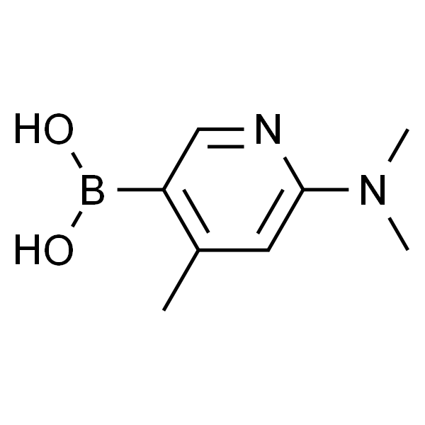 (6-(二甲氨基)-4-甲基吡啶-3-基)硼酸